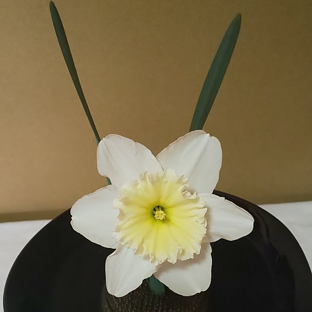 CassiyCocoさんの部屋