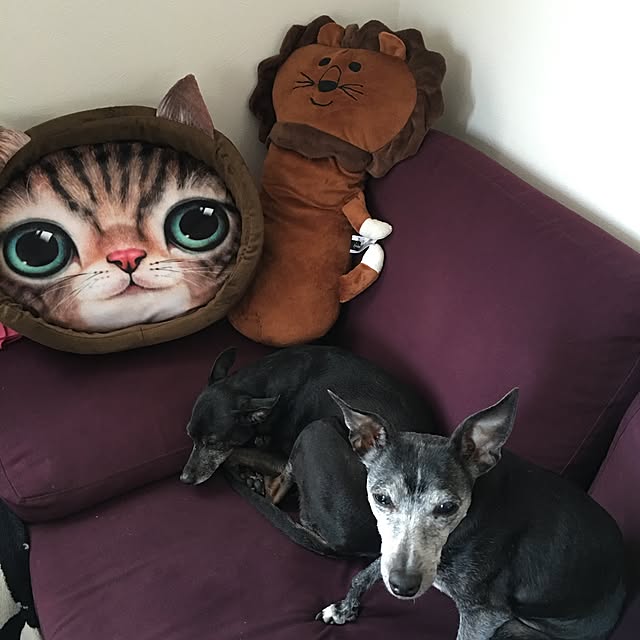 70さんの実例写真