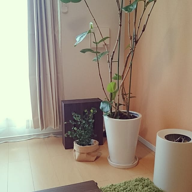 ventaさんの実例写真