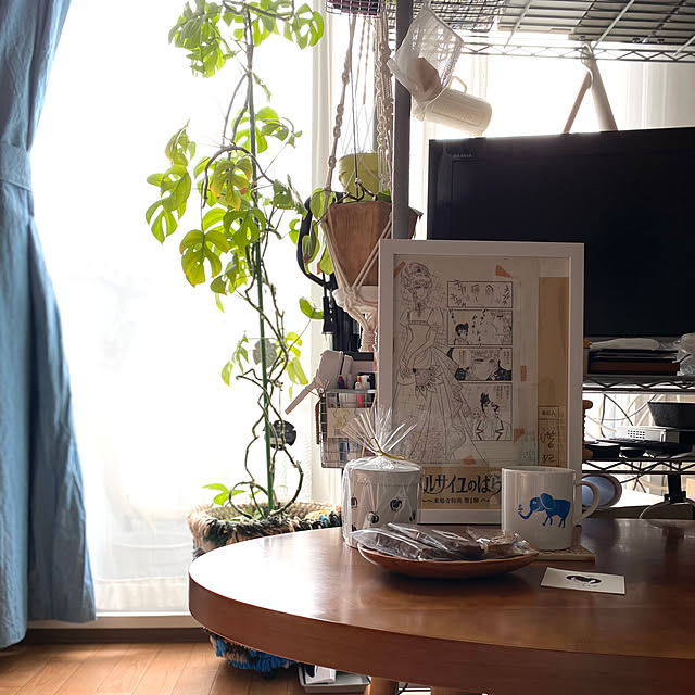 coroさんの実例写真