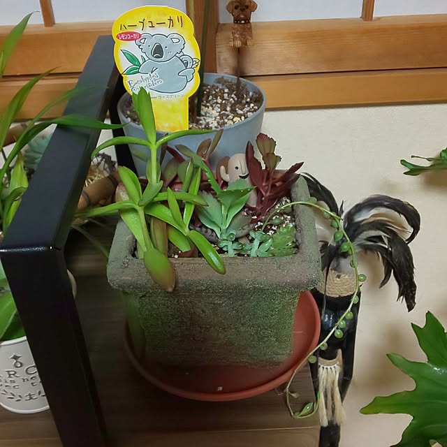 yumiyumiさんの部屋