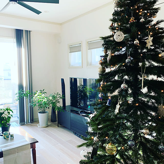 クリスマスツリー/観葉植物/いいね！ありがとうございます◡̈♥︎/シンプル/クリスマス...などのインテリア実例 - 2019-11-16 20:02:28