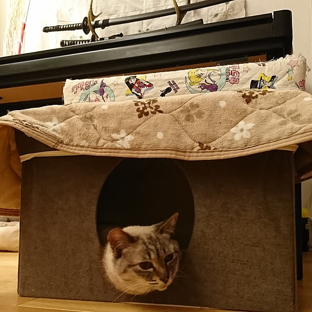 bonobono54さんの実例写真