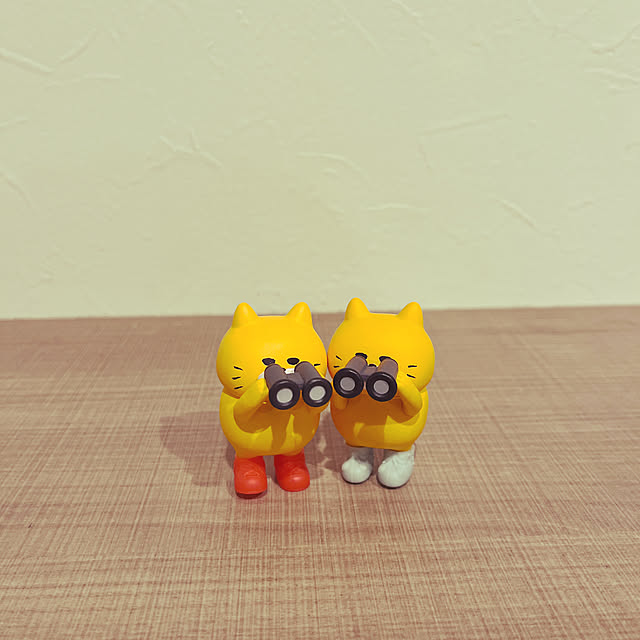 asasouさんの実例写真