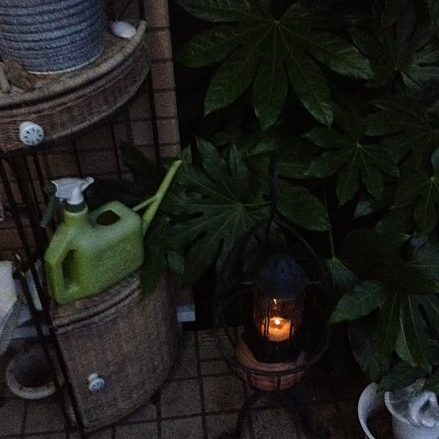 Malamaさんの実例写真