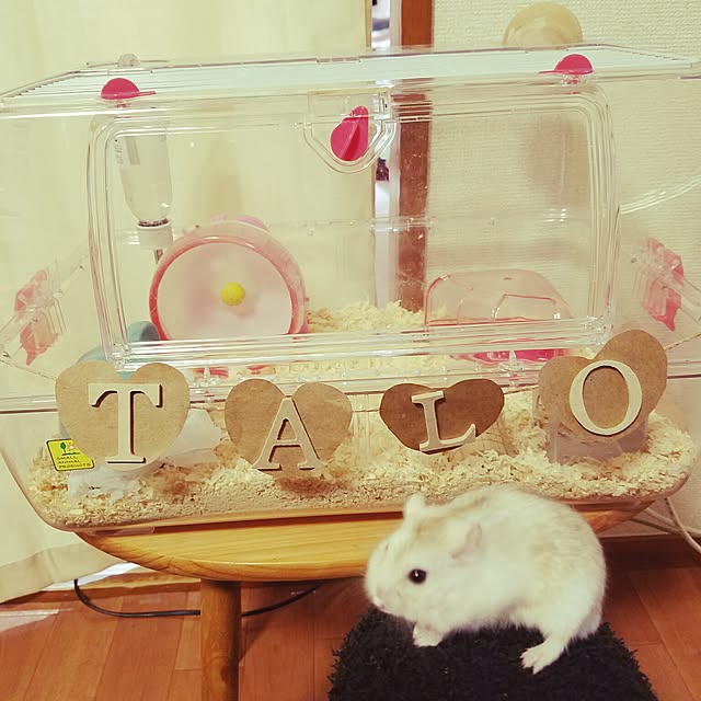rietomoさんの実例写真