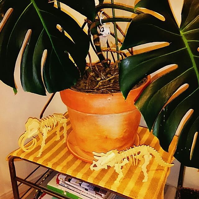 urchinさんの実例写真