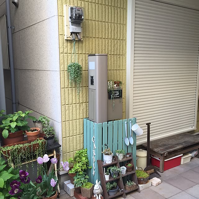 mucさんの実例写真