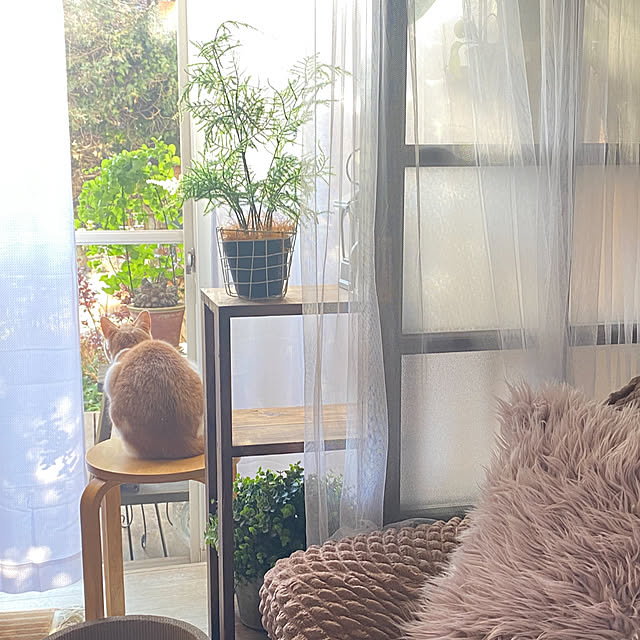 mintteaさんの部屋