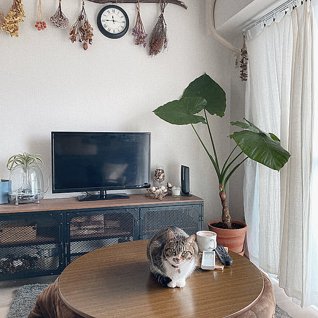 ai_my_meさんの実例写真