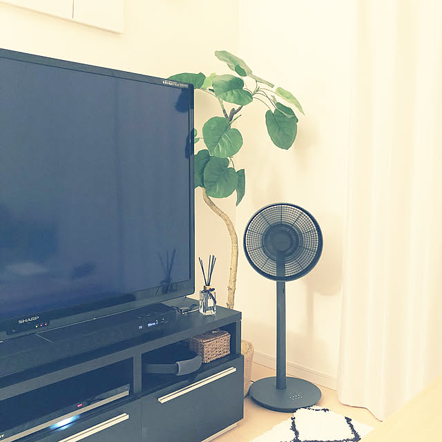 runaさんの実例写真
