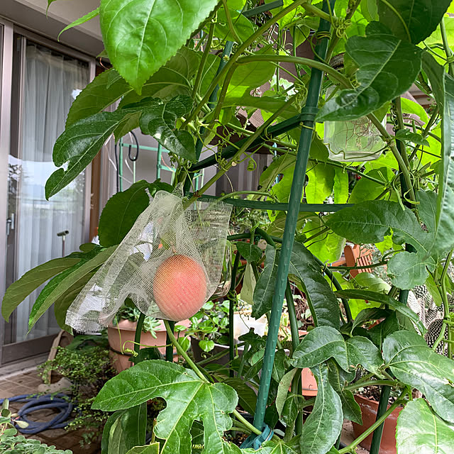 Aqettyさんの部屋