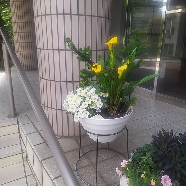 hakata-baさんの実例写真