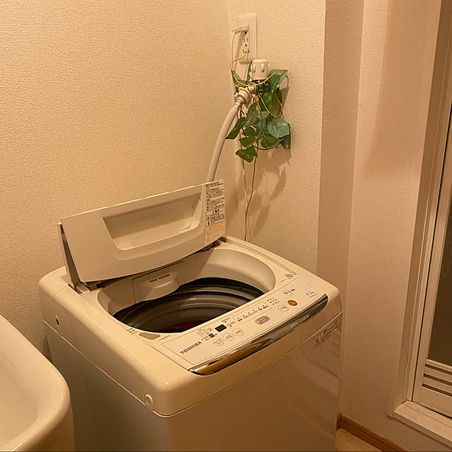teruさんの実例写真