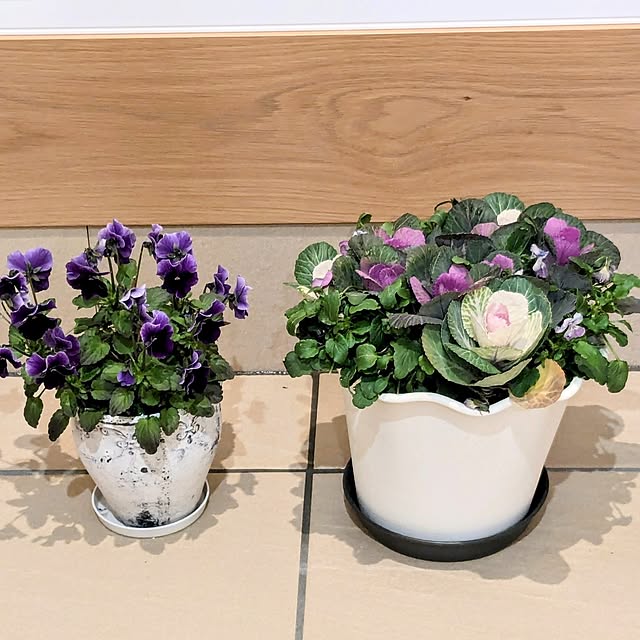 pannaさんの実例写真
