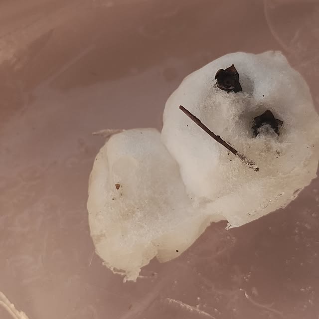 kana_ciiさんの部屋