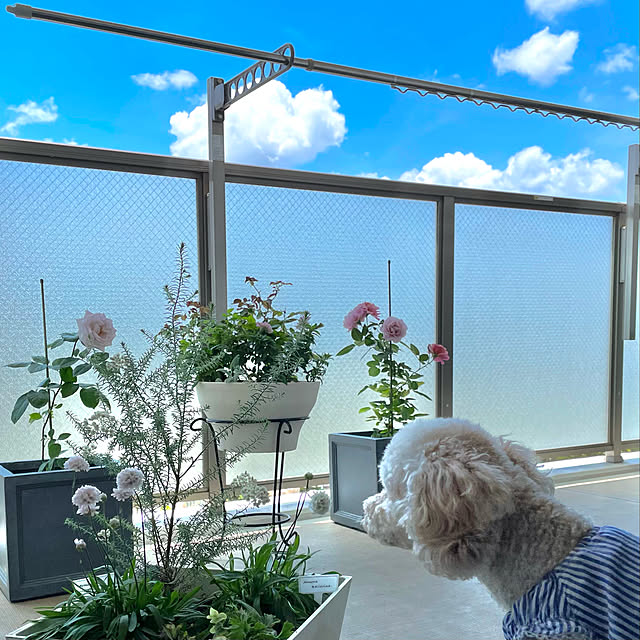 KLさんの実例写真