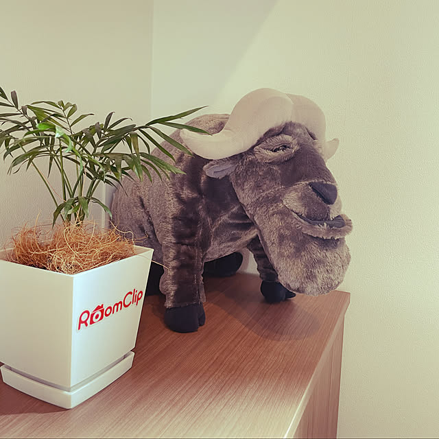 seiさんの実例写真