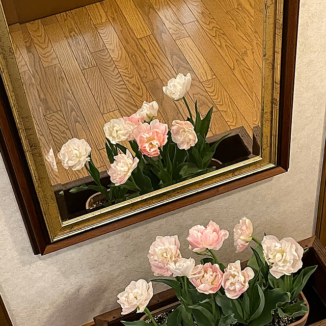 mamizaさんの実例写真