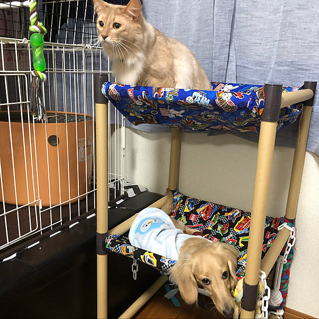 naoさんの実例写真