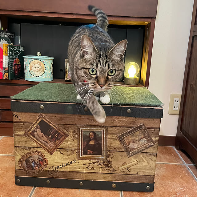 実例写真