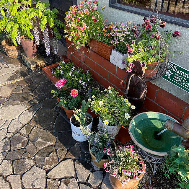 shin0719さんの実例写真