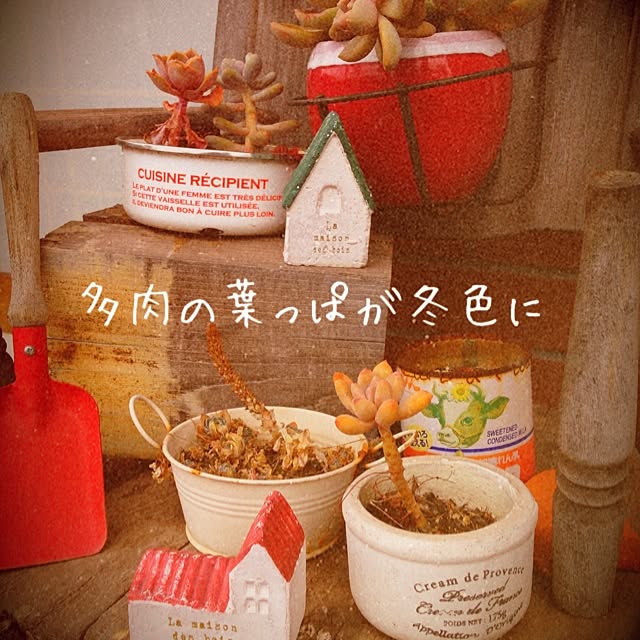 38coreさんの実例写真