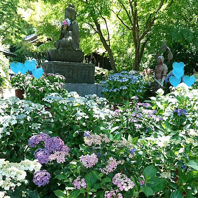 実例写真