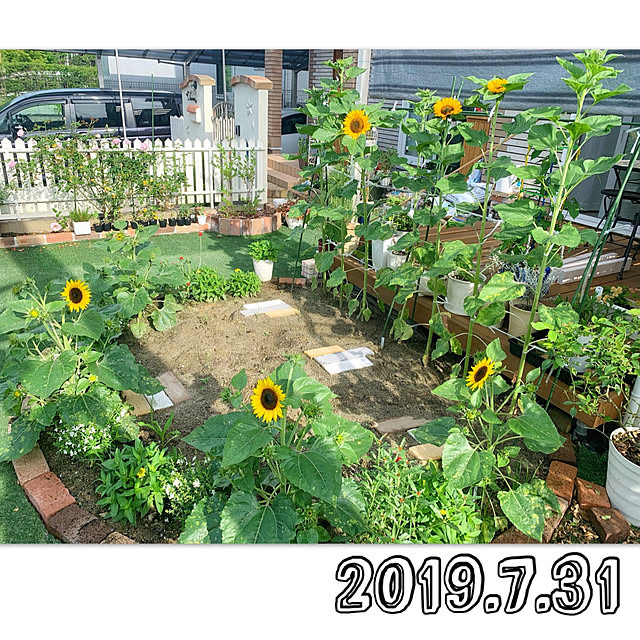 Michiさんの実例写真