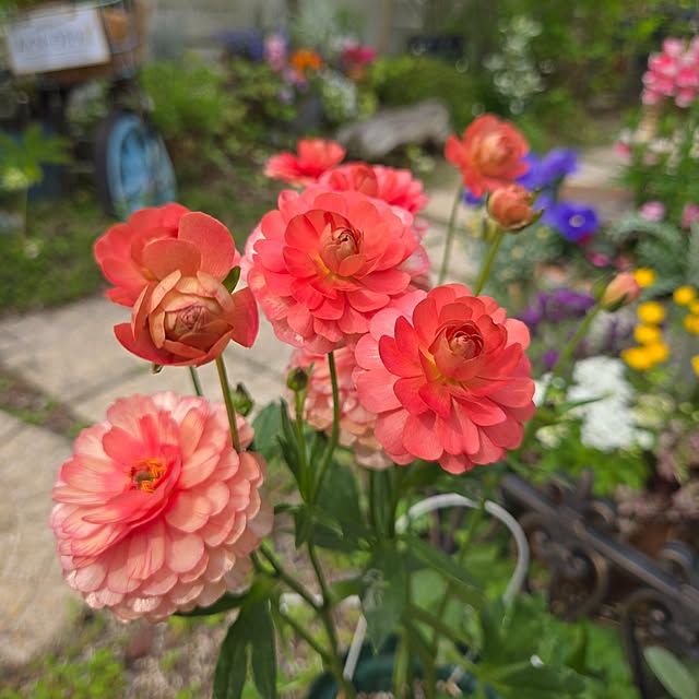 min_nimさんの部屋