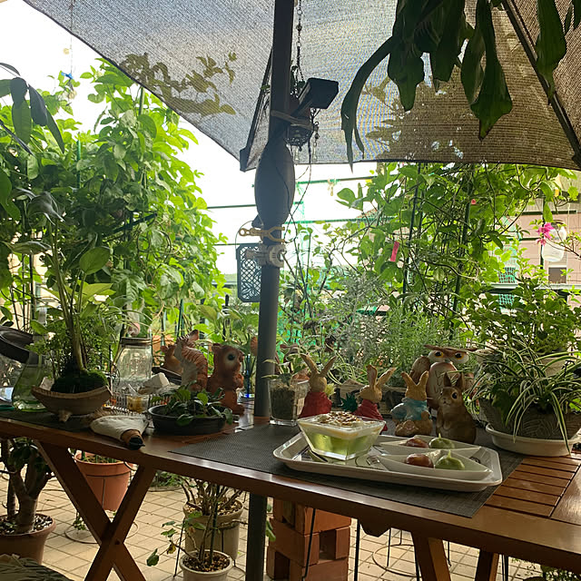 Aqettyさんの部屋