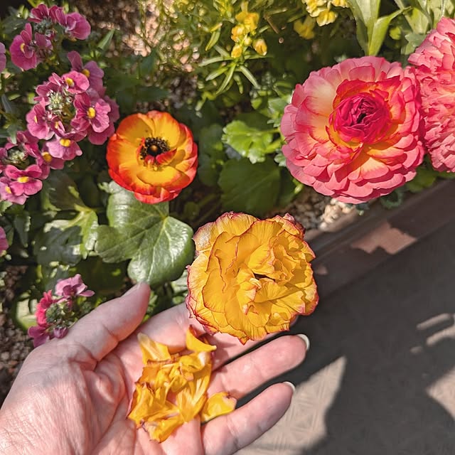 mi-saさんの部屋