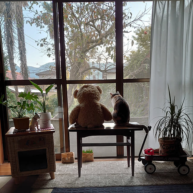 fukuさんの実例写真