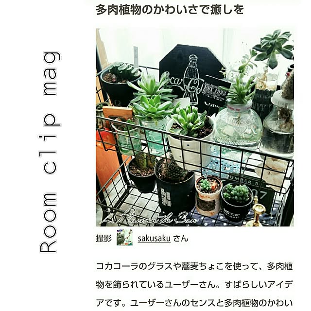 sakusakuさんの実例写真