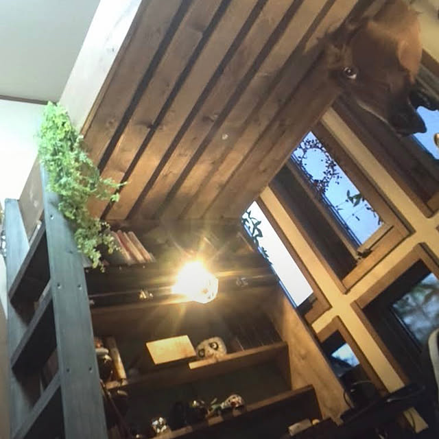 ayuさんの実例写真