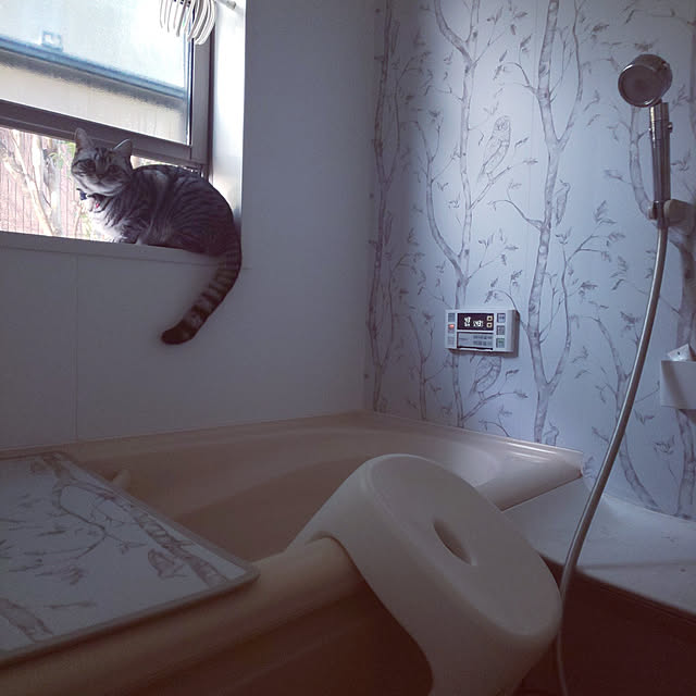 hiro3さんの実例写真