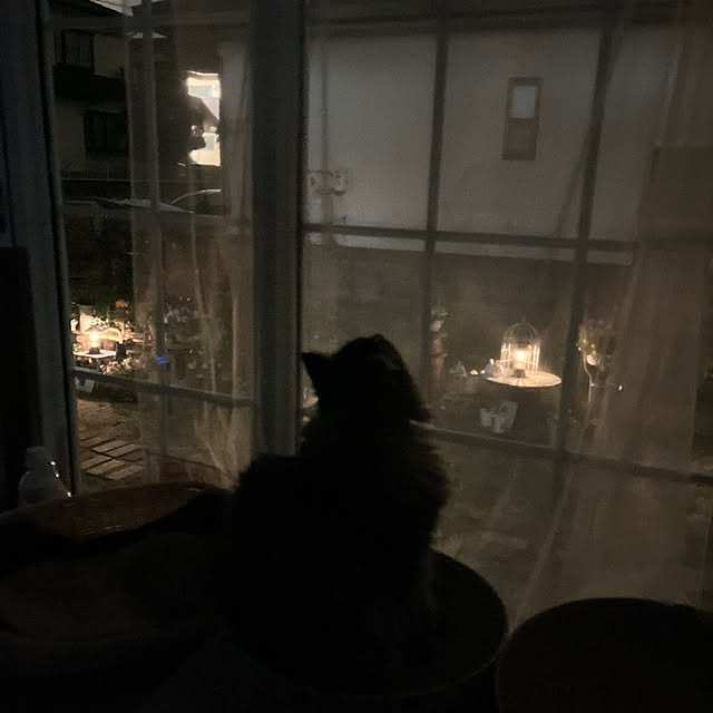 mayumiさんの部屋