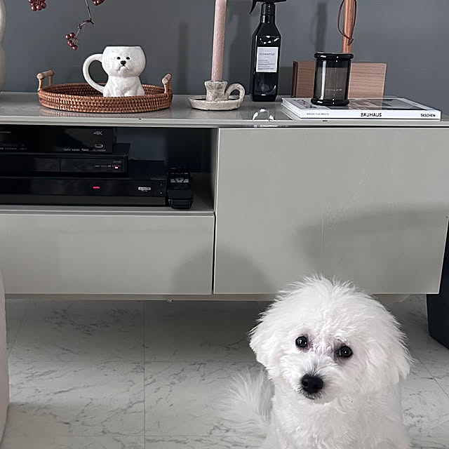 Akubiさんの部屋
