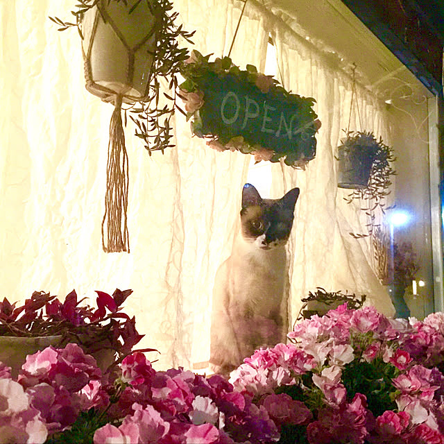 rosemaryさんの実例写真