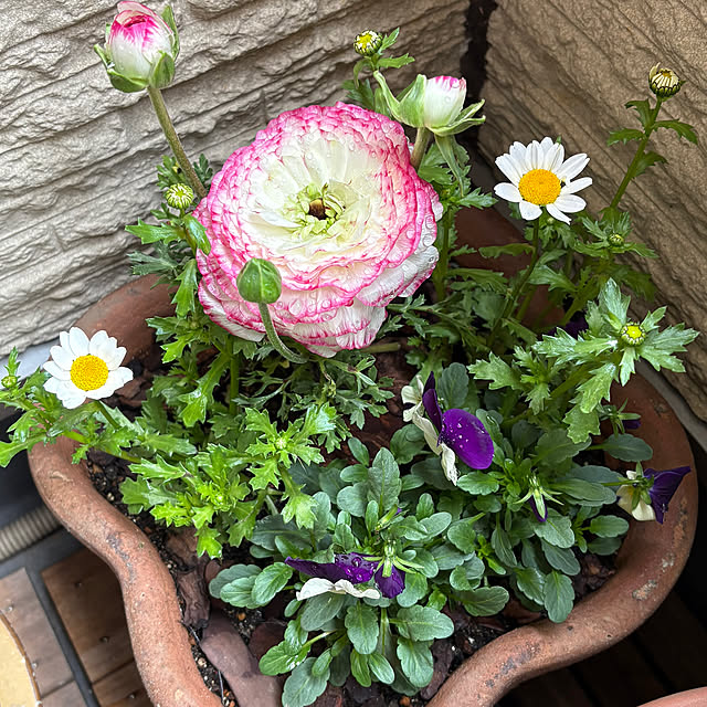 Toyomiさんの部屋