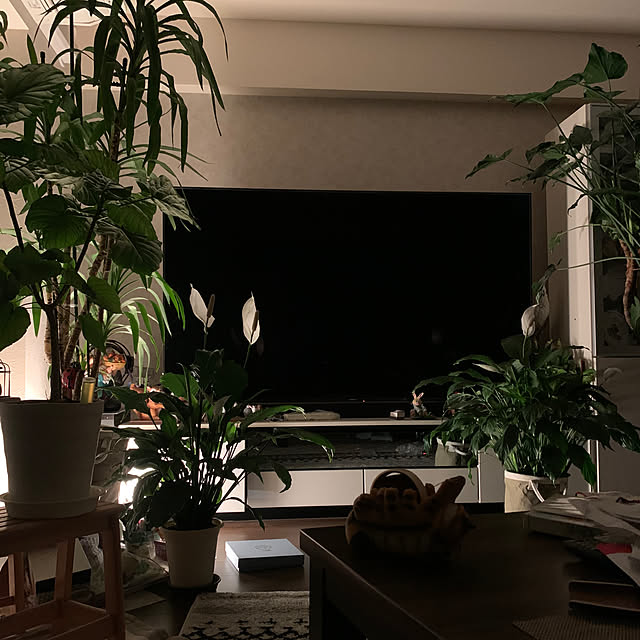 Aqettyさんの部屋