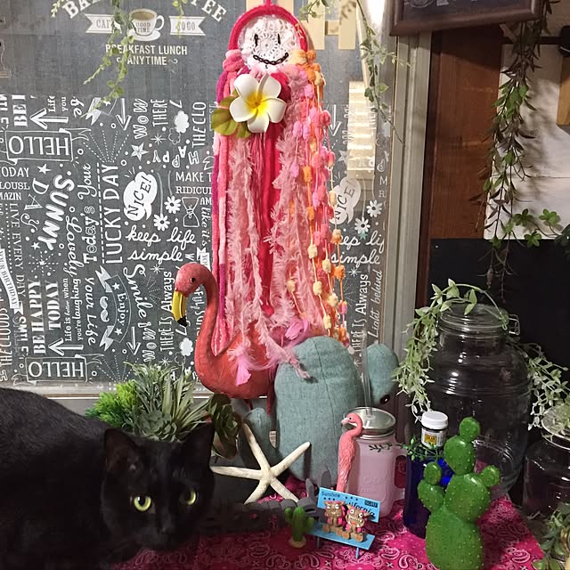 vivienne.coco-keiさんの実例写真