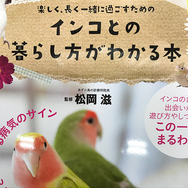 keinagen91さんの実例写真