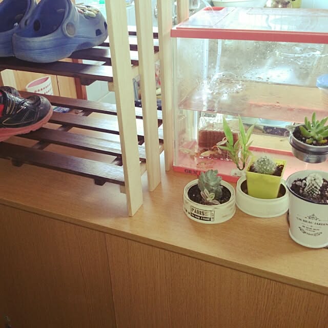 saaa1124さんの実例写真