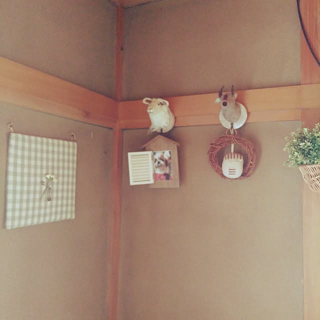 emibutaさんの実例写真
