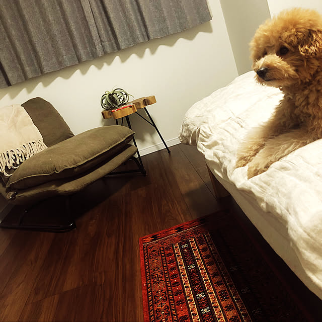 odennさんの実例写真