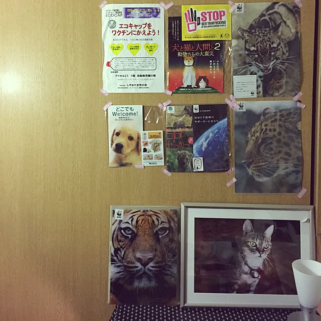 catwomanさんの実例写真
