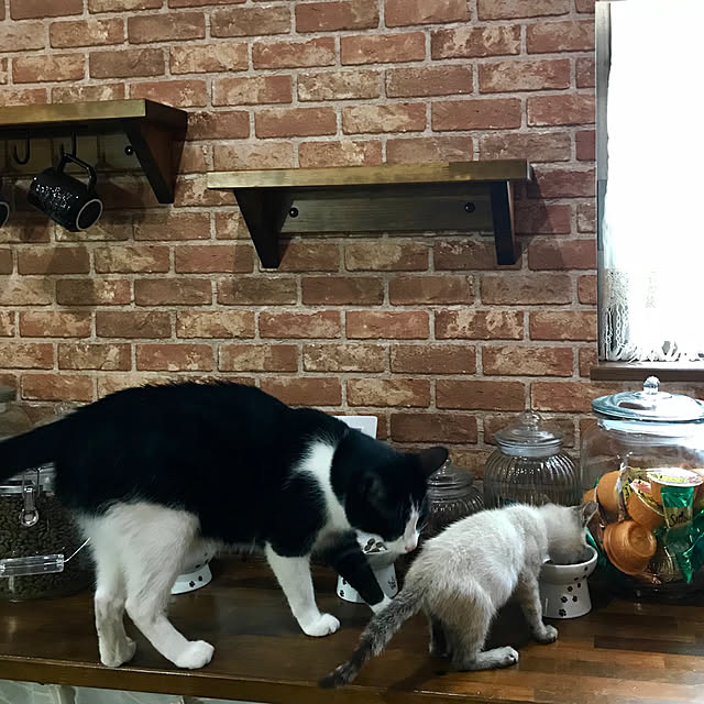 butachanさんの実例写真