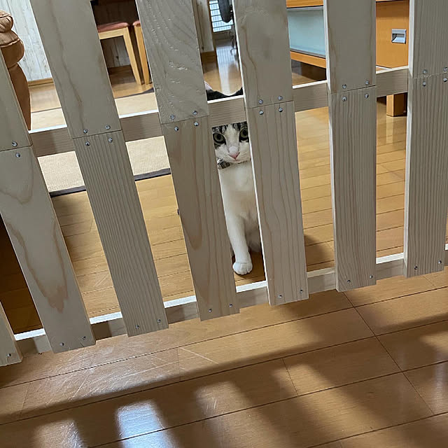 Akiさんの実例写真