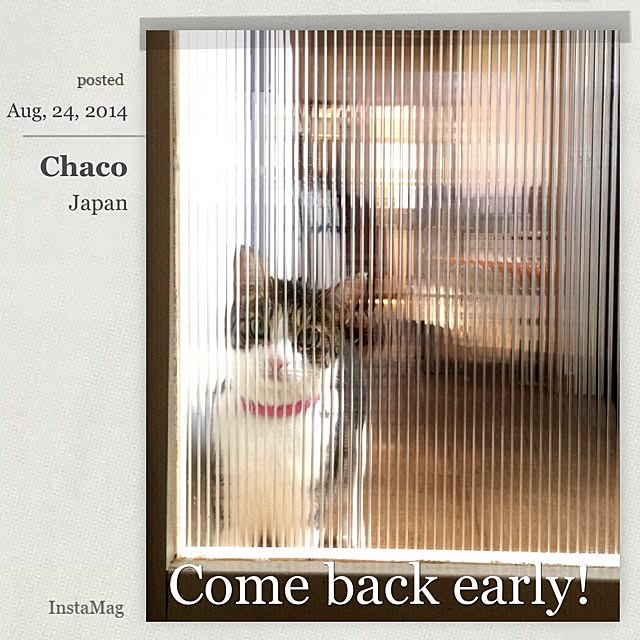 Chatomintさんの実例写真